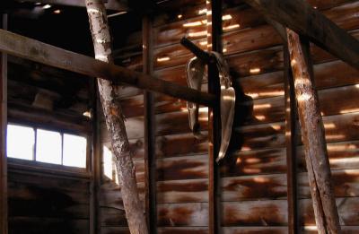 in the old barn-Joanne Hodge , Alberta