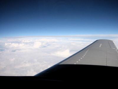 Heavenly Wing