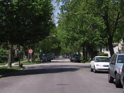 My 'hood