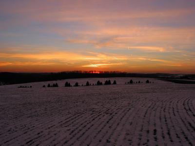 Hampstead winter sunset