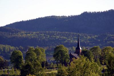 Evening view