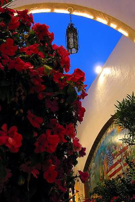 Flowers and Arch