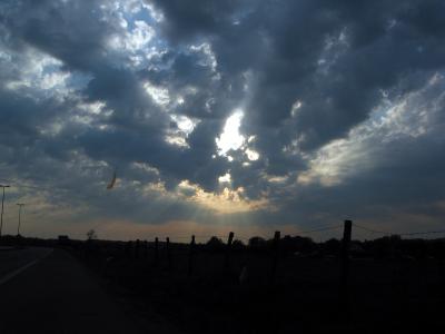 Sunscape