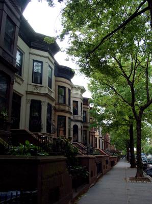  A Little Ol' Street In Brooklyn