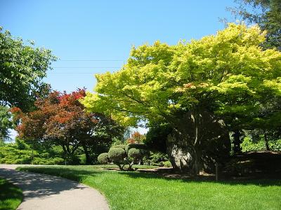 Slice of Nature in Silicon Valley