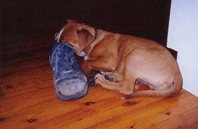 Where's me tucker?*