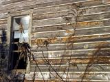 Time in a window
