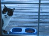 Early Morning Hunger!