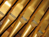 Organ Pipes