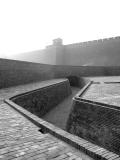 <b>1st Place</b><br>Old Wall