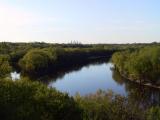 Big Muddy