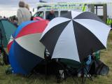 Umbrellas (*)
