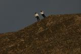 on the edge.jpg*