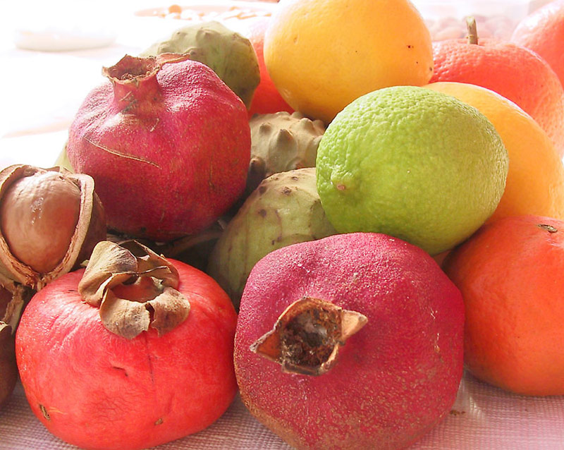 Fruits of My Labor