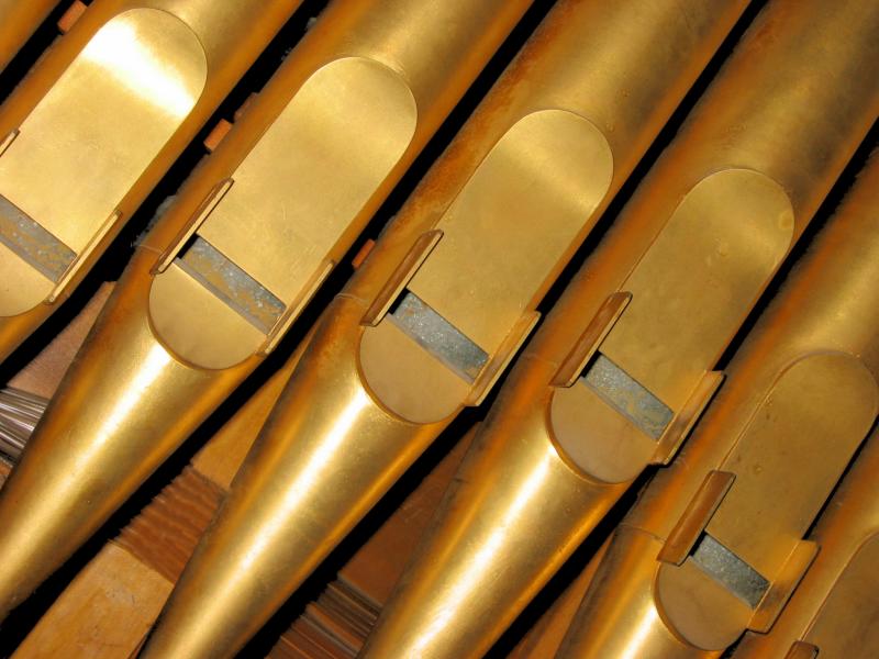 Organ Pipes