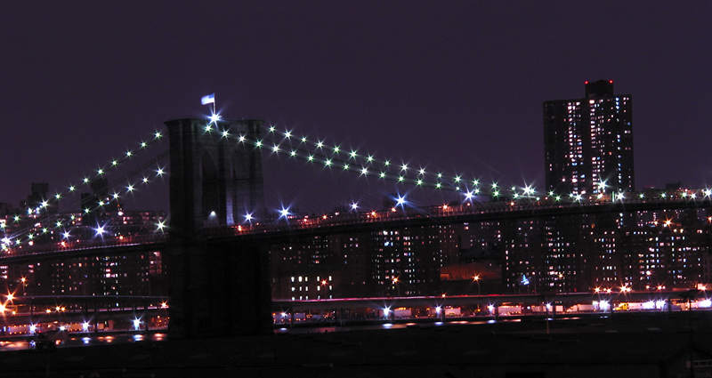 <b>My Bridge</b>