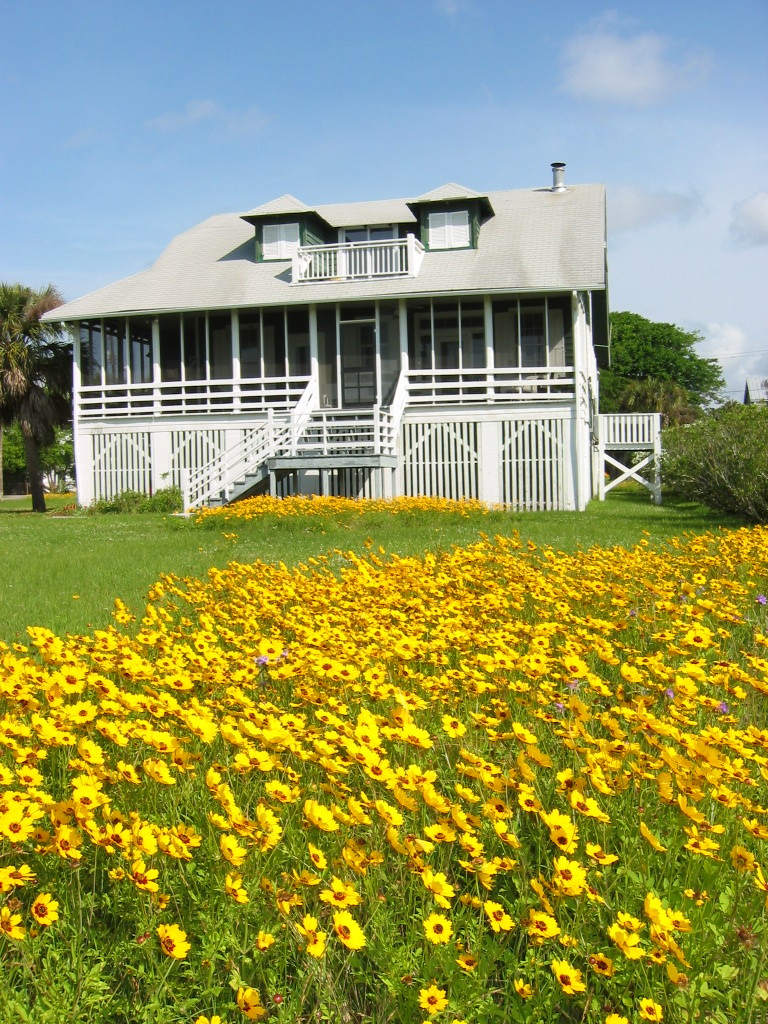 Spring Flowers on Sullivans Island, SC