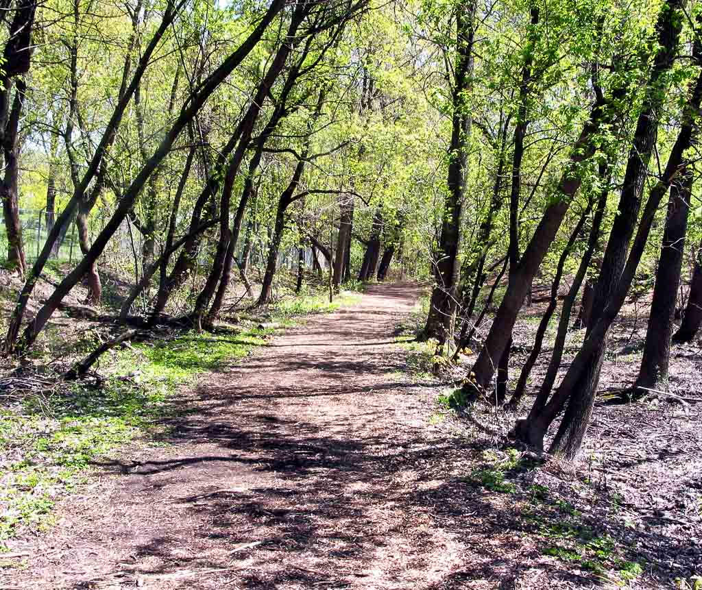 Path through the bird sanctuary