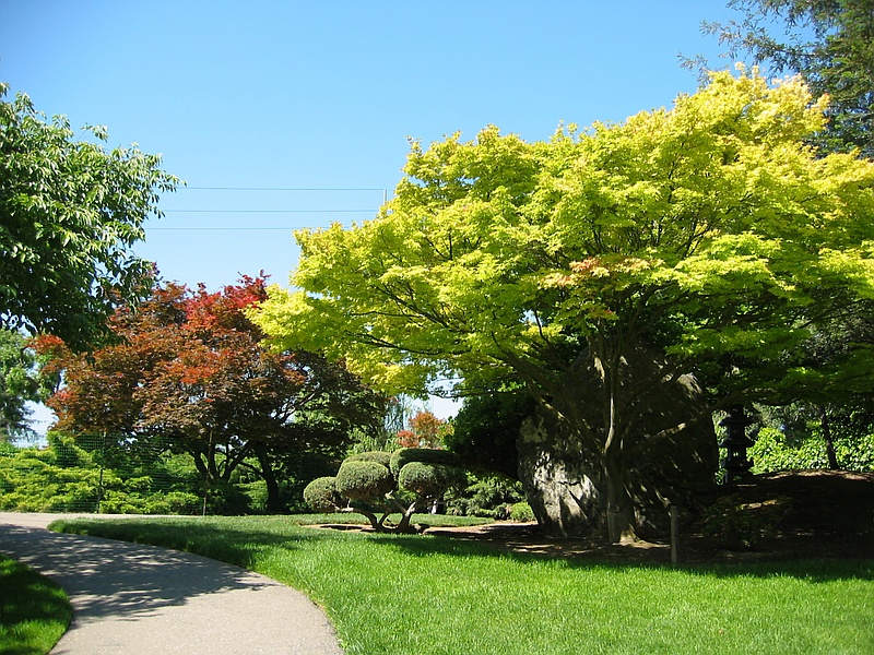 Slice of Nature in Silicon Valley