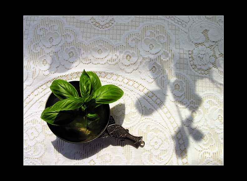 Basil Fish