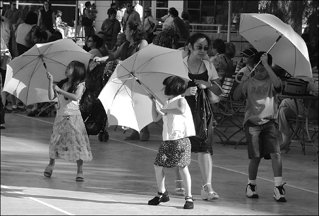 3 Umbrellas