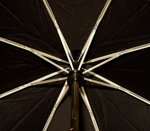 Looking Up   *