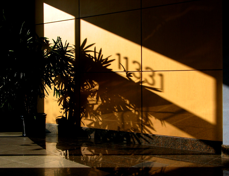 Lobby Light & Shadow