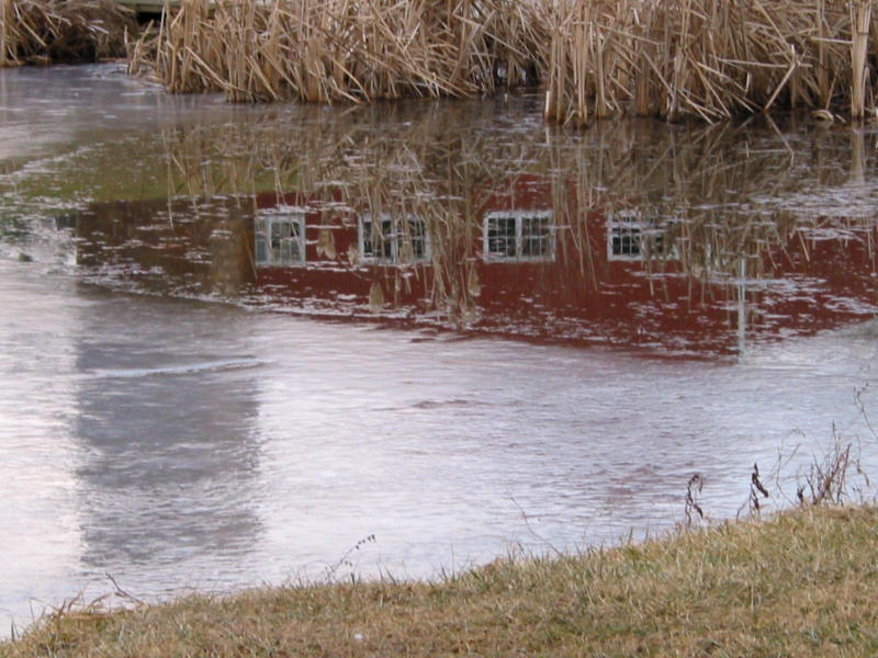 Windows in the pond.jpg