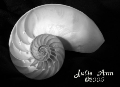 Graceful Silence<br>5/01/05