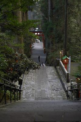 CRW_8264.jpg