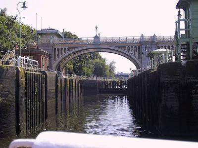 IMG_2519.jpg