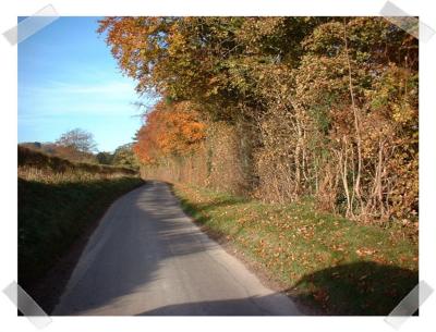 White hill towards burghclere