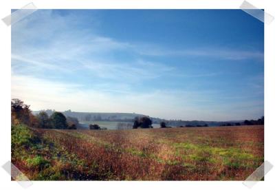 White hill Ecchinswell