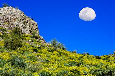 Apache Junction, Superstitious Mountains area