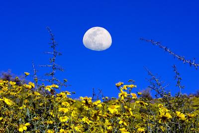 Apache Junction, Superstitious Mountains area