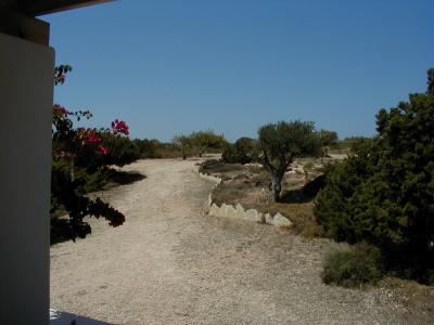 View from Studio Bungalow