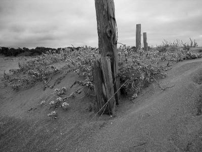 Fence Post