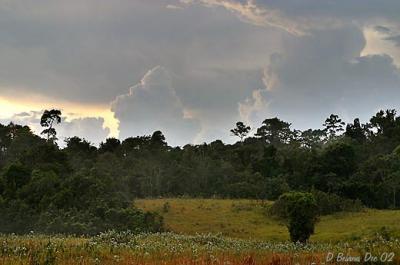 Khao-Yai.jpg