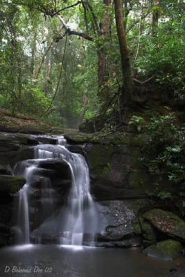 Khao Yai National Park, Thailand