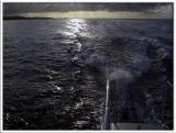 Sunrise Snorkel Sailing