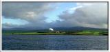 Coastal Sugar Cane Fields