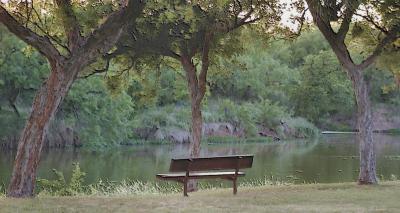 the cheap seat.jpg