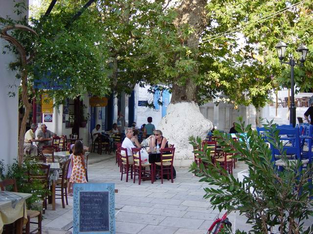 Under the age-long sycamore tree in Pyrgos Square