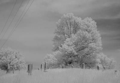 plum run cemetery