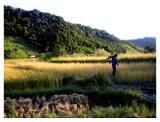 Karen Farmer, Northern Thailand