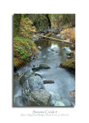 Sonoma Creek-4