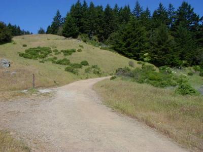 Mount Tamalpais  Saturday May 18