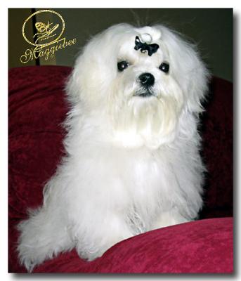 buster6months copy.jpg