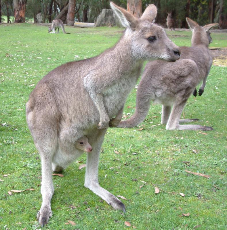 Whats going on out here?.jpg