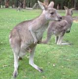 Whats going on out here?.jpg